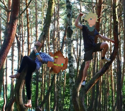 Rootabeta team in the trees